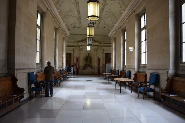 Guy Wildenstein prison ferme