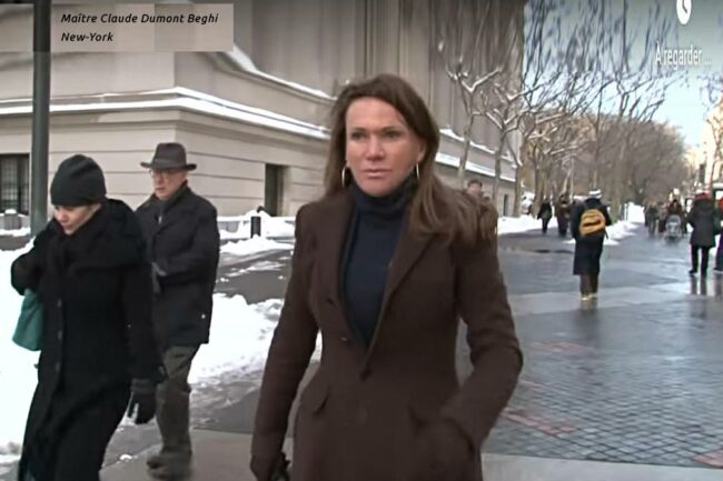 Daniel Wildenstein the race for inheritance